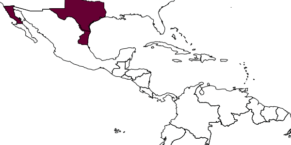 map of Augochlora azteca     (Vachal, 1911)
